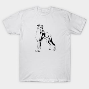 Italian Greyhound Minimalistic Art T-Shirt